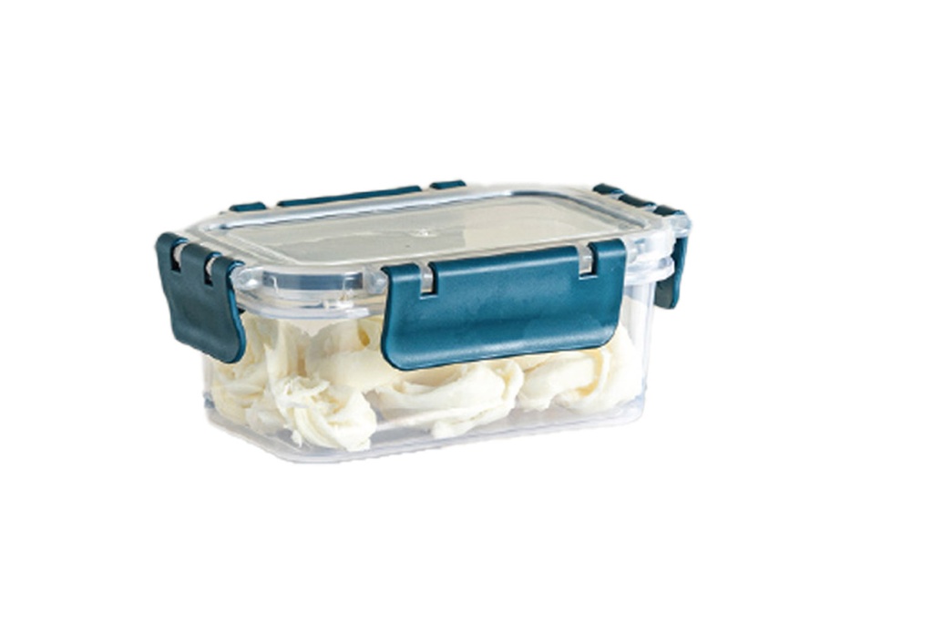 900ML ( 0.95 QT) FOOD STORAGE CONTAINER