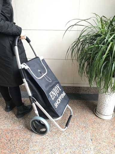 [1205BK] Aluminum Shopping Cart with Polyester Bag (6 pcs/ctn)