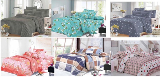 [BL261-Q] 4 pc Queen Size Printed Microfiber Sheet Set (10 sets/ctn)