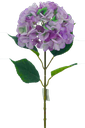 Hydrangea, 22cm, w. 68cm Stem, 4 Leaves, Purple (240 pc/ctn)