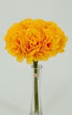 9 pc Carnation Bouquet Set, Orange (24 set/ctn)