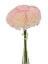 9 pc Carnation Bouquet Set, White & Pink (24 set/ctn)