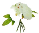 7 head Peony Bouquet Set w. Leaves, 23 cm (24 set/ctn)