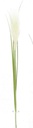 Pampas Flower w. 3 leaves, 20cm/76cm  (96 pc/ctn)