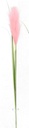 Pampas Flower w. 3 leaves, 20cm/76cm (96 pc/ctn)