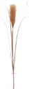 Pampas Flower w. 3 leaves, 20cm/76cm (96 pc/ctn)