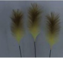 Pampas Flower, 25cm/60cm (96 pc/ctn)