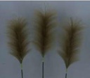 Pampas Flower, 25cm/60cm (96 pc/ctn)