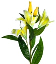 Lily w. 95cm Stem, 3 Flowers+2 Bud, Yellow (120 pc/ctn)