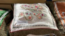 Pillow with Embroidered Design (6 pcs/ctn)