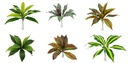 43cm Leave Branch, 11 Leaves, mixed pattern (240 pc/ctn)