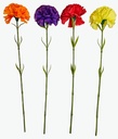 50cm Carnation Flower, Dia 10cm  (432 pc/ctn)