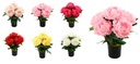 5 Head 10cm Peony Bouquet, Potted Flower, 40cm H (12 pot/ctn)
