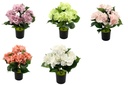 5 Head 10cm Hydrangea Bouquet, Potted Flower, 35cm H (12 pot/ctn)