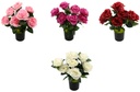 7 Head 10cm Rose Bouquet, Potted Flower,35cm H(12 pot/ctn)