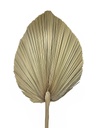 50~60cm Oval Shape Palm Leave, dia 30~40cm (20 pc/ctn)