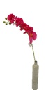 Orchid, 8 Flowers, 99cm Stem, Red (240 pc/ctn)