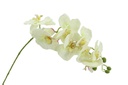 Orchid, 8 Flowers, 99cm Stem, White (240 pc/ctn)