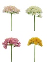 50cm Agapanthus Flowers (192 pc/ctn)
