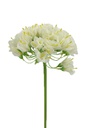 20" White Agapanthus Flowers (240 pcs/ctn)