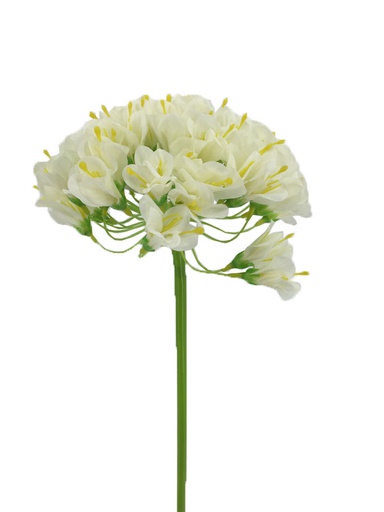 [FL6201-WH] 20&quot; White Agapanthus Flowers (240 pcs/ctn)