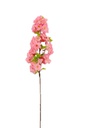 Light Pink Cherry Blossom (240 pcs/ctn)