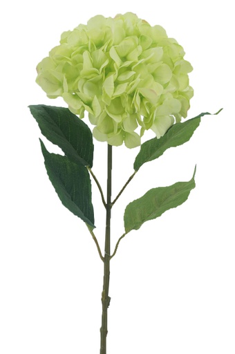 [FL6501-GR] Hydrangea, 22cm, w. 68cm Stem, 4 Leaves, Green (240 pc/ctn)
