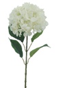 Hydrangea, 22cm, w. 68cm Stem, 4 Leaves, White (240 pc/ctn)