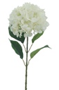 Hydrangea, 22cm, w. 68cm Stem, 4 Leaves, White (240 pc/ctn)