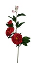 Tearose with 3 heads stem 90 cm, Red (240 pc/ctn)