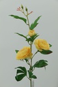 Tearose with 3 heads stem 90 cm, Yellow (240 pc/ctn)