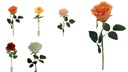 45cm Rose, dia 9cm (48 pc/box, 576 pc/ctn)