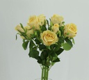 7 pc Yellow Green Rose Bouquet (36 pcs/ctn)