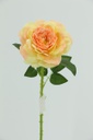 Big Rose with 48cm Stem, Yellowish PInk (240 pc/ctn)