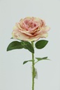 Big Rose with 48cm Stem, Pink-Yellow (240 pc/ctn)