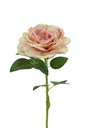 Big Rose with 48cm Stem, Pink-Yellow (240 pc/ctn)