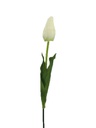 White Tulip Bulb with Stem (480 pcs/ctn)