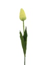 Yellow Tulip Bulb with Stem (480 pcs/ctn)
