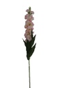 16 Flower Pink Hyacinth (288 pc/ctn)