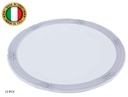 9.8" Gray Ceramic Italian Dinner Plate (12 pcs/ctn)