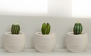 3 pc 0.13LT Flower Pot, Off White (12 set/ctn)