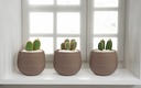 3 pc 0.13LT Flower Pot, Mocha (12 set/ctn)