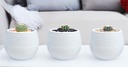 3 pc 0.13LT Flower Pot, Milky White (12 set/ctn)