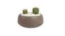 0.86LT Arrangement Flower Pot, Mocha (30 pc/ctn)