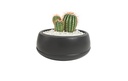 0.86LT Arrangement Flower Pot, Anthracite (30 pc/ctn)