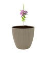 0.5LT Flower Pot, Beige (60 pc/ctn)