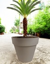 76LT Flower Pot, Mocha (48 pc/bag)