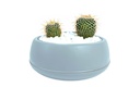 2LT Arrangement Flower Pot, Sky Blue (20 pc/ctn)