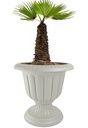 25.3LT  Flower Pot, Beige (50 pc/ctn)