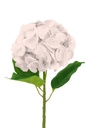 Hydrangea 18cm dia, 65cm long (288 pc/ctn)